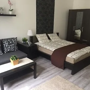 Luxury Apartment